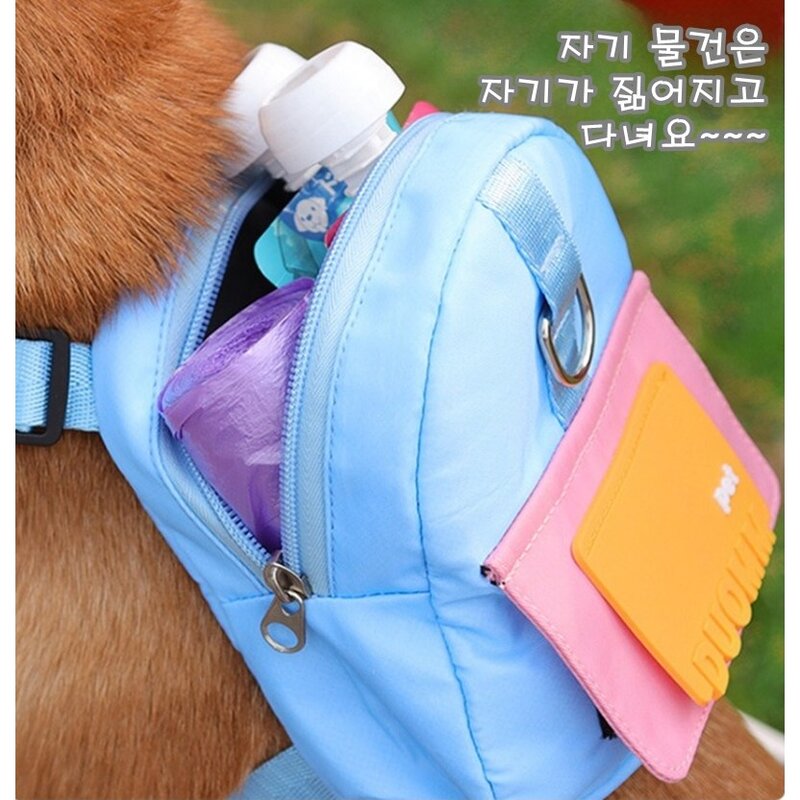 꼼펫 백팩 포인트 강아지 고양이 산책줄 가슴줄 하네스 리드줄 세트, Orang, 1개