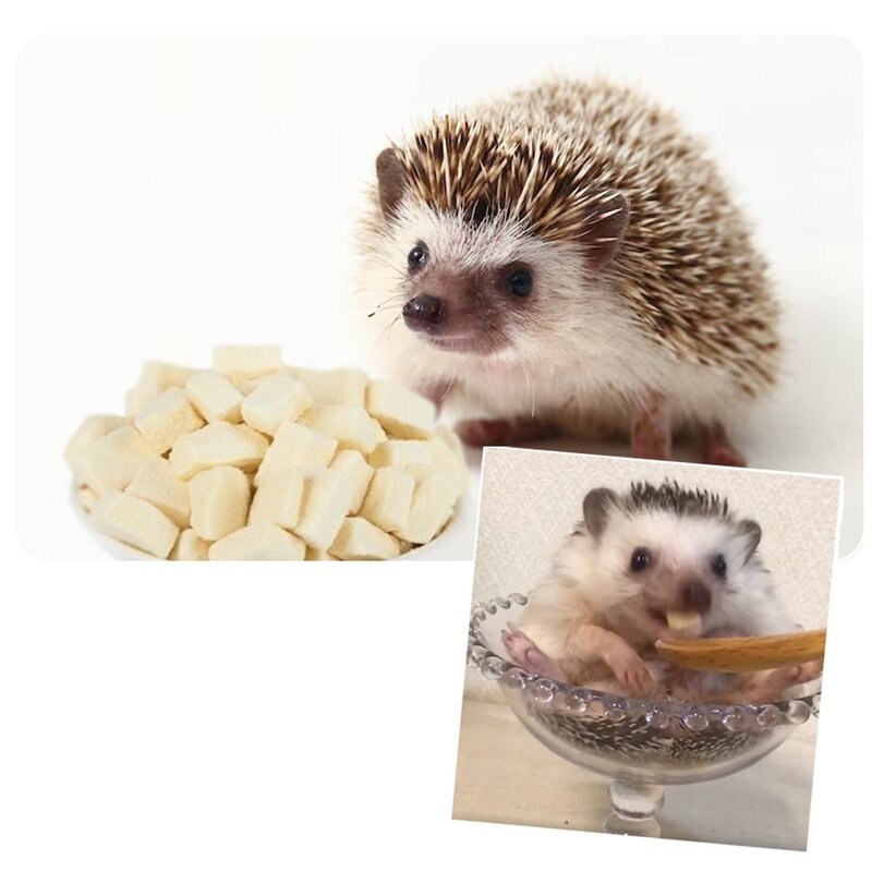 햄스터 고슴도치 간식 먹이 부드러운 동결건조 트릿, 동결건조 닭고기 10g, 1개