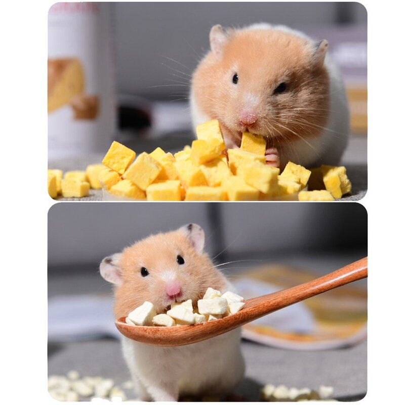 햄스터 고슴도치 간식 먹이 부드러운 동결건조 트릿, 동결건조 닭고기 10g, 1개