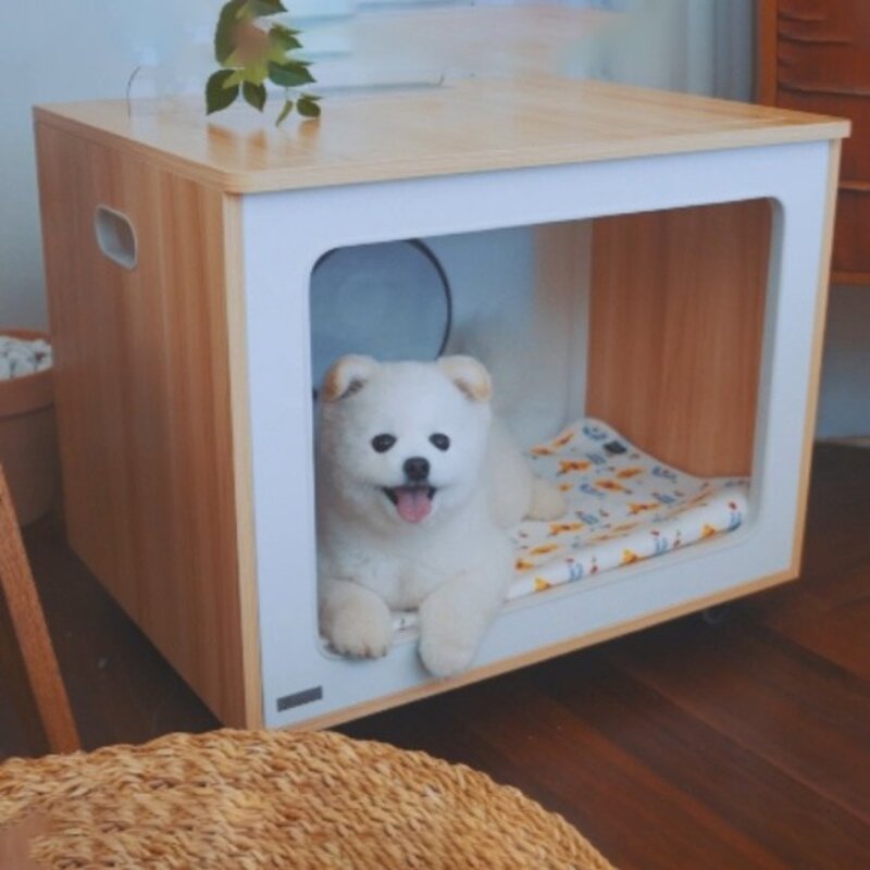 펫말리 펫드라이룸, M10, 혼합색상, 1개