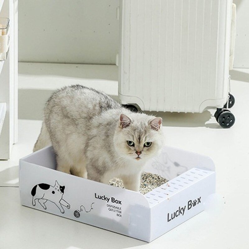 둥둥펫 휴대용 접이식 고양이 화장실, 화이트, 1개