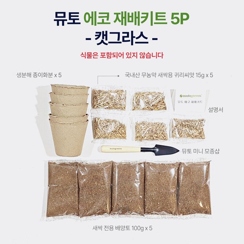 킴스팩토리 직접키우는 캣그라스 재배키트 5P 고양이간식 고양이풀 키우기, 1개