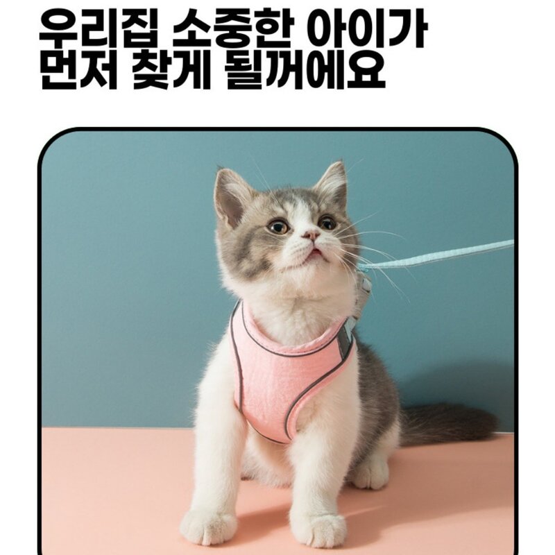 디아쿠아 강아지 고양이 겸용 야광 빛반사 벨크로 하네스+리드줄, 민트오렌지, 1개