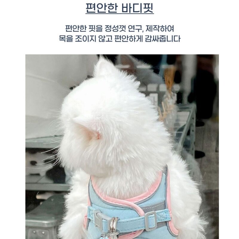 디아쿠아 강아지 고양이 겸용 야광 빛반사 벨크로 하네스+리드줄, 민트오렌지, 1개