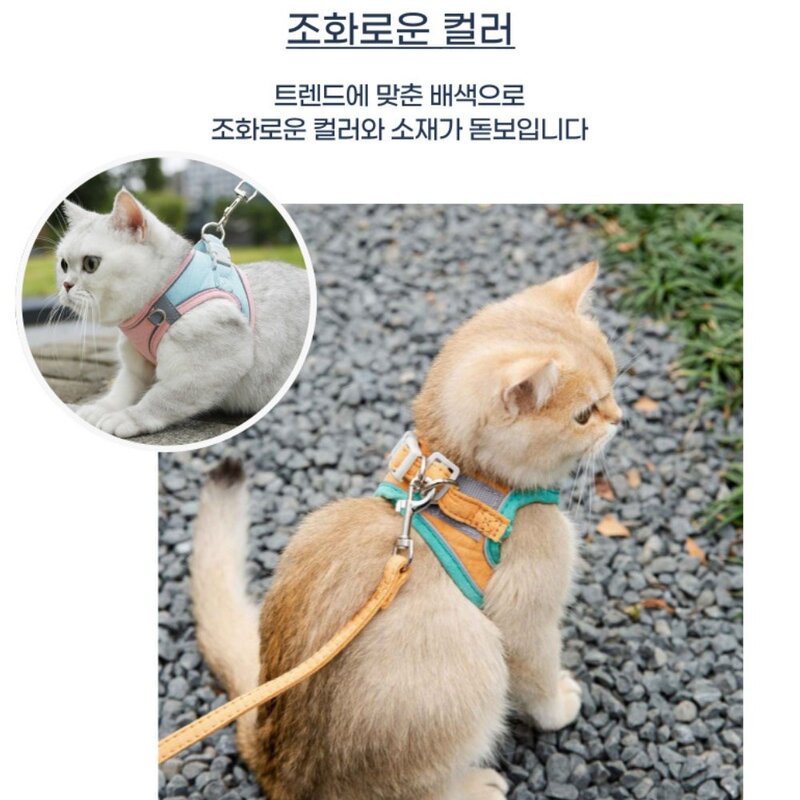 디아쿠아 강아지 고양이 겸용 야광 빛반사 벨크로 하네스+리드줄, 민트오렌지, 1개