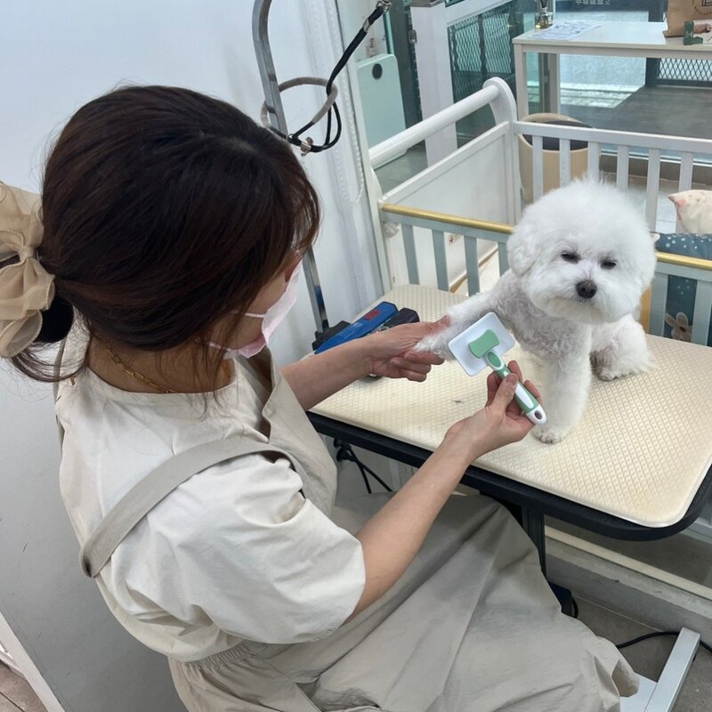 하울펫 슬리커브러쉬 고양이 강아지빗 브러쉬 슬리커, 페퍼민트그린, 1개
