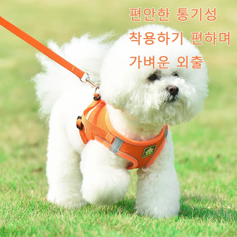 강아지 하네스 가슴줄 세트 야간 빛 반사 세이프 강아지 하네스 강아지 충격완화 하네스 핏밴드 강아지 가슴줄 하네스 + 리드줄, 베이직 그레이