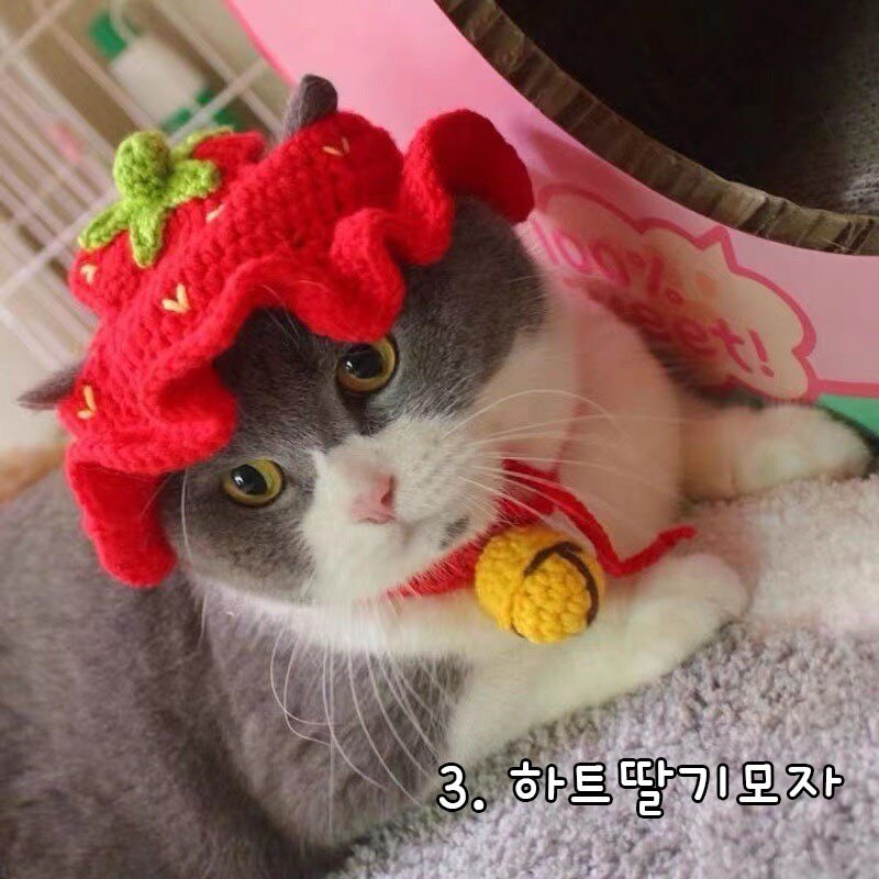 다묘집사 귀여운 뜨개질 모자, 2.빨간망토모자, 1개