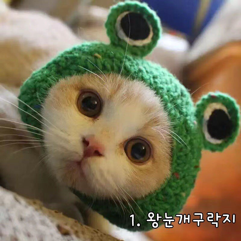 다묘집사 재미있는 뜨개질 모자, 4.공룡괴물, 1개