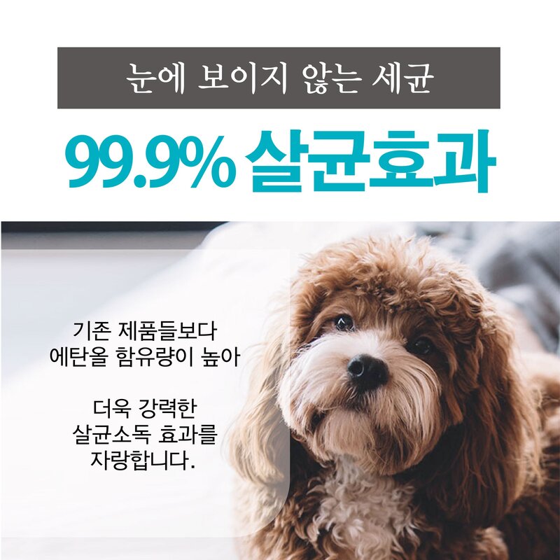 반려동물 강아지 고양이 살균소독제 배변 오줌 장난감 살균 소독, 1개, 450ml