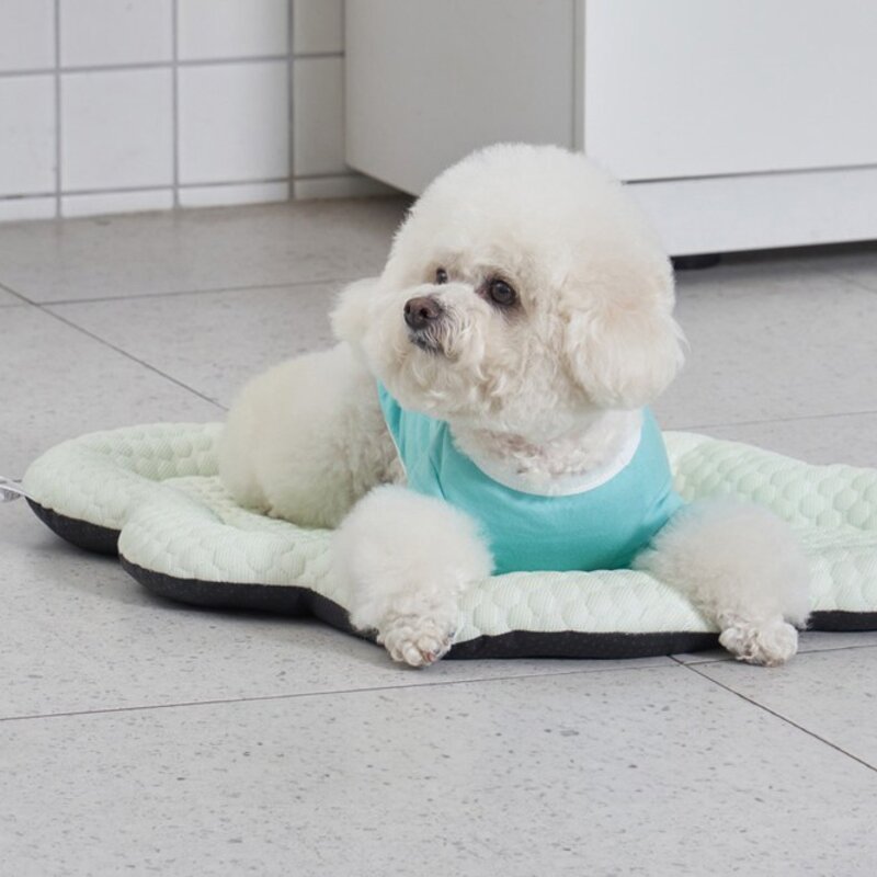 레드퍼피 반려동물 아이스 클라우드 쿠션, 펄 옐로우 그린, 1개
