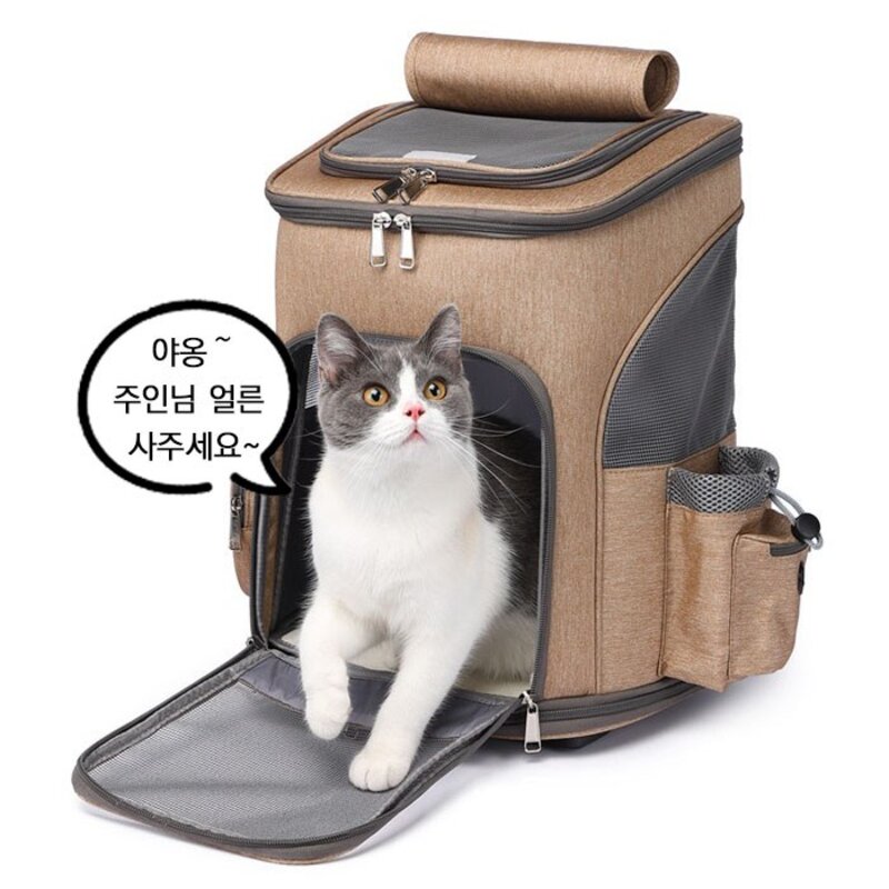 반려동물 패브릭 캐리어 이동식 접이식 백팩 애완 동물 개 고양이 수하물 휴대용 애완가방, 라이트그레이, 1개