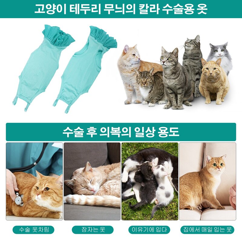 고양이 중성화 환묘복 고양이 옷 보호 강아지 중성화복 암컷 환견복 고양이 중성화 환묘복 고양이중성화수술후입는옷, Blue, 1개