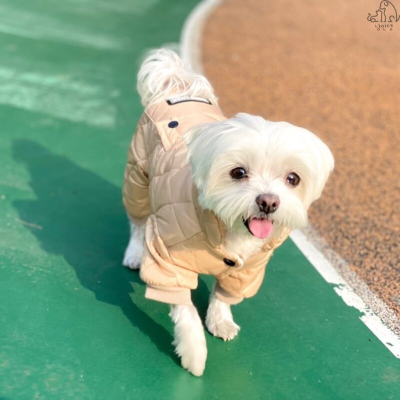 냥인댕 올인원 강아지패딩 하네스 강아지겨울옷 방한복, 올인원심플패딩, 카키, 1개