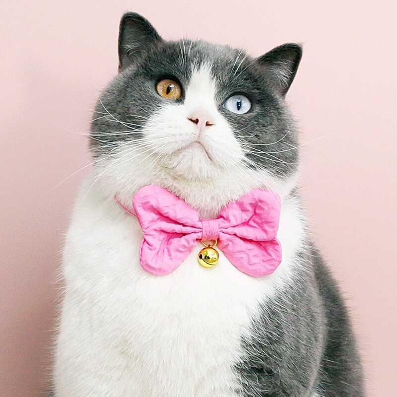 강아지 고양이 왕리본 방울 목걸이, 주황, 1개