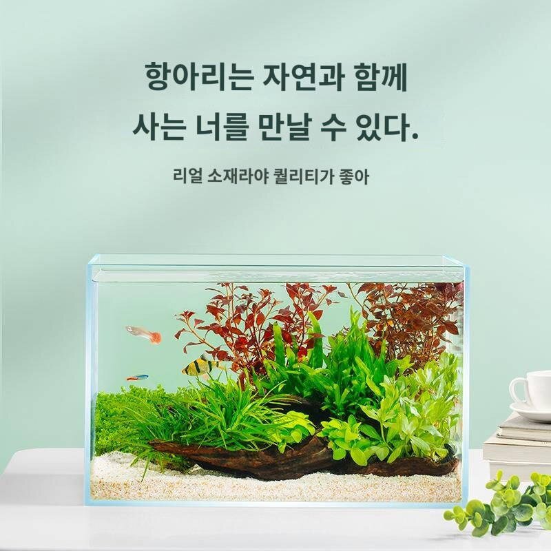 yee 초백 어항유리 2023 거실 생태탁상 금붕어 거북이 항아리 조경 게으름뱅이 소형 수초항아리, 어항환수기송수질염소제거안정제, 1x1x1cm, 1개