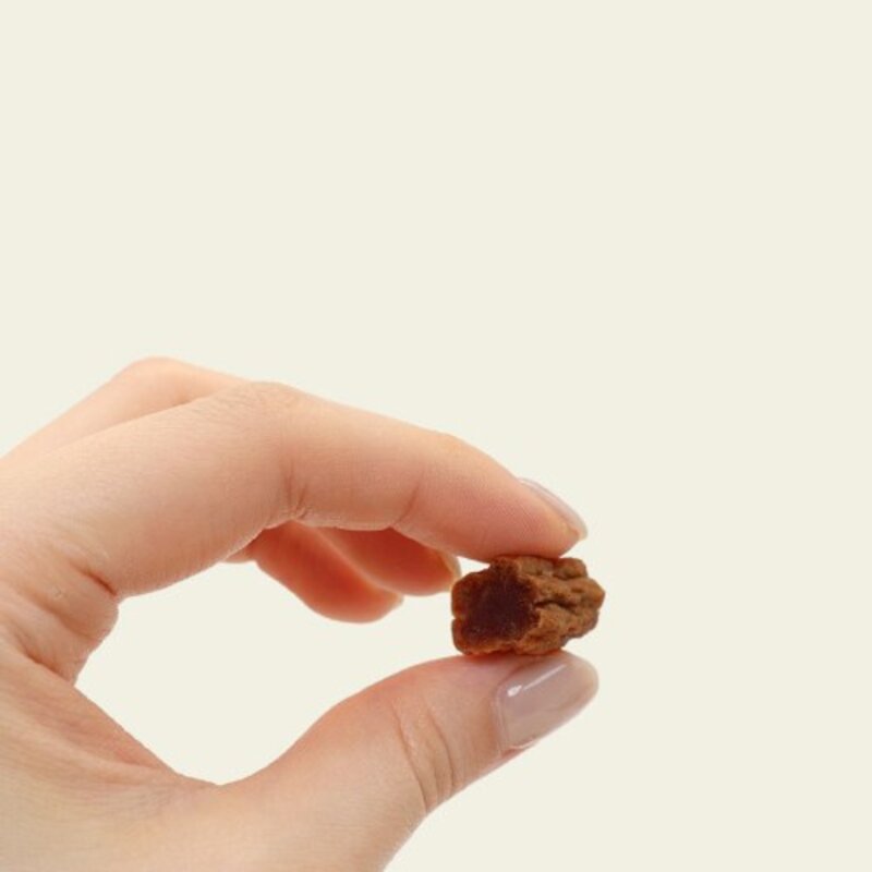 굿데이 강아지 오븐 베이크 간식, 닭고기, 500g, 1개
