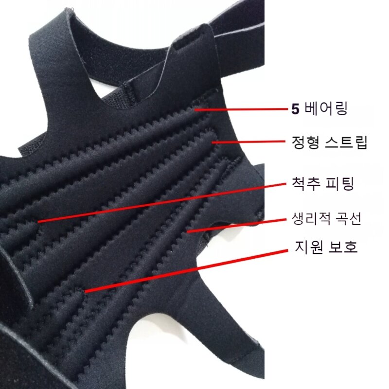 애견네 강아지 척추 보호대, S, 1개