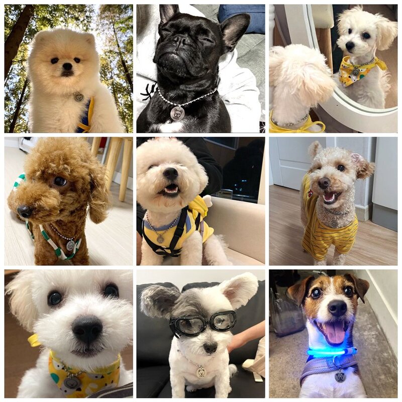 [ 강아지 목걸이 ] 써지컬스틸 무광 양면 블랙 각인 반려동물 인식표 선물 이름표 네임텍, 3mm, 30cm~35cm, 1개