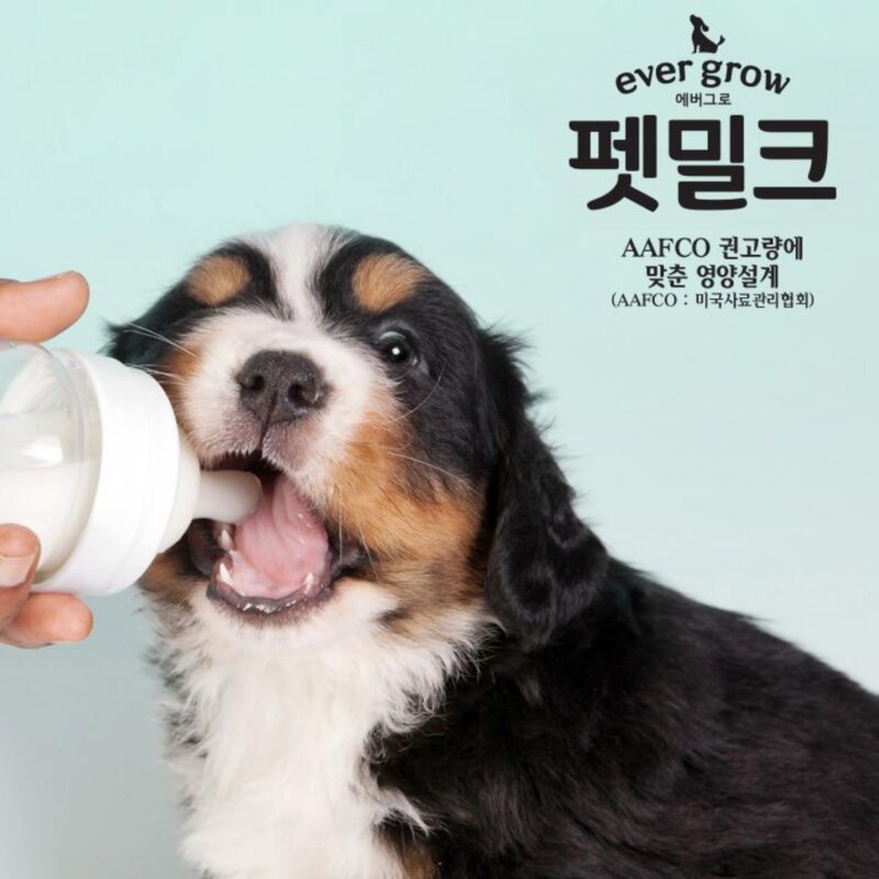 에버그로 펫밀크 강아지우유 반려견 락토프리 초유함유 우유 3종, 피부&모발, 1개