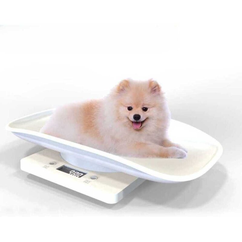 강아지체중계 체중계 반려동물 소형 애견 채중계 전자, 소형 애완동물 (1g-20kg), 상세 페이지 참고