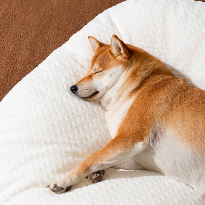 강아지 고양이 중형 분리형 쿠션 꿀잠 베개 무중력 침대, 화이트, M