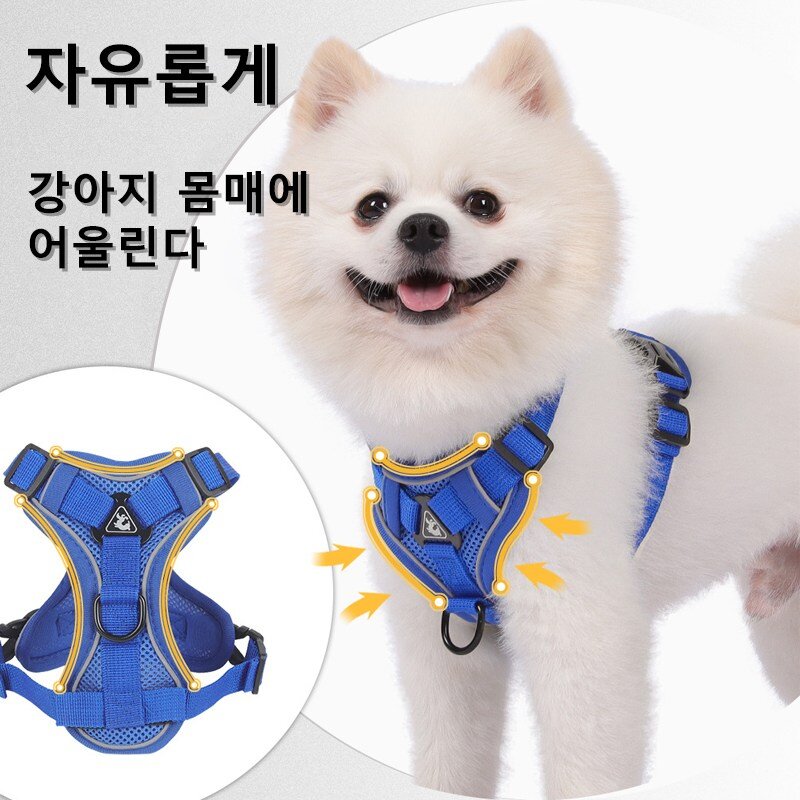 강아지 가슴줄 하네스 리드줄 세트 소형견 중형견용, 그린, 1세트