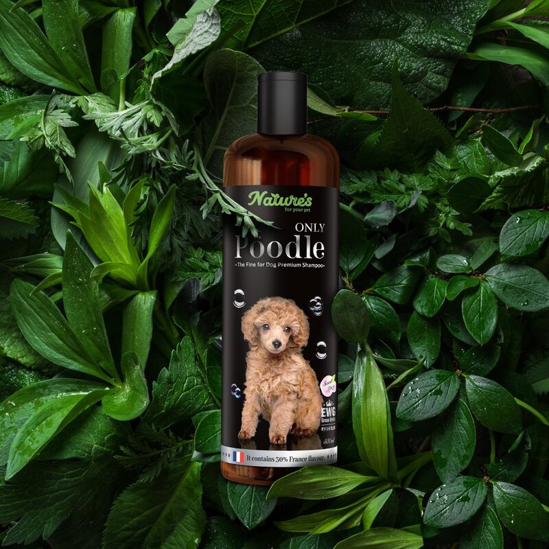 네이처스 푸들전용 강아지샴푸 애견미용샵 고급강아지 윤기보습 각질케어 500ml, 1개