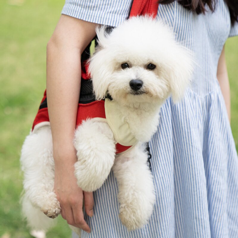고냥냥 강아지 고양이 포대기 이동가방, 파랑, 1개