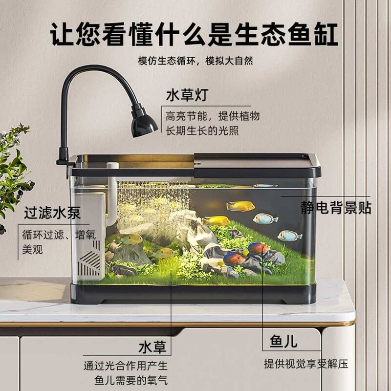 수족관 키우기세트 사각형 투명 인테리어 관상용, 1개