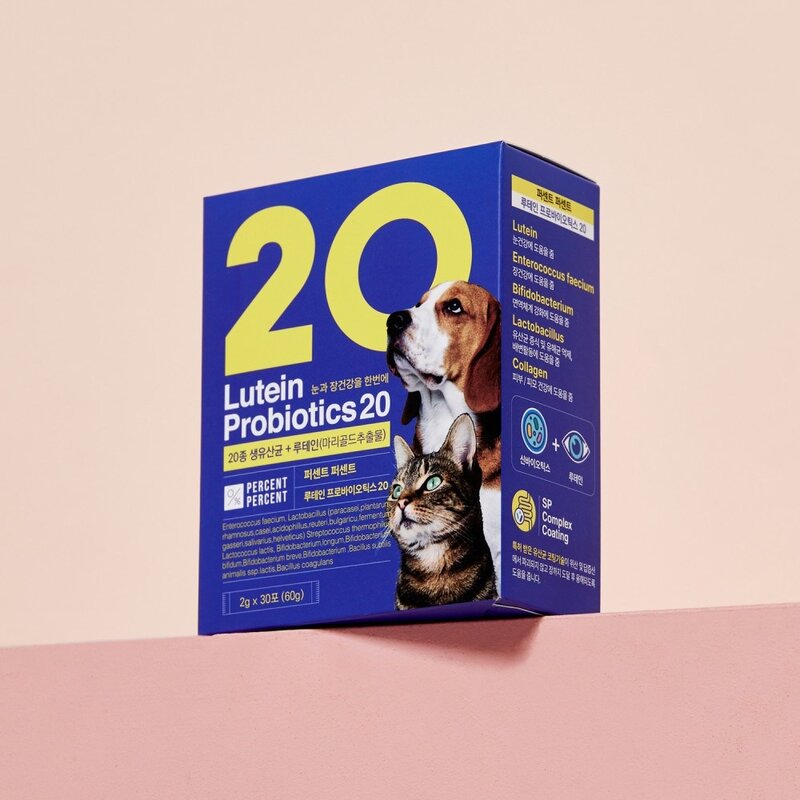 퍼센트퍼센트 반려동물 루테인 프로바이오틱스 20 유산균 60g, 1개, 종합영양제