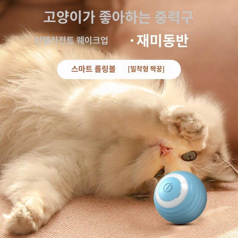 실버 레이어드 전용 고양이 놀이 완구 자동심풀 롤러볼 캣츠 스마트 산책용 캣츠볼, 파란 공 굴리기 (스마트 동반자고독과 이별)