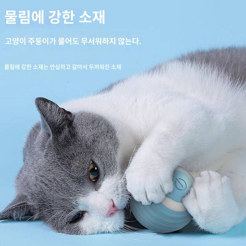 실버 레이어드 전용 고양이 놀이 완구 자동심풀 롤러볼 캣츠 스마트 산책용 캣츠볼, 파란 공 굴리기 (스마트 동반자고독과 이별)