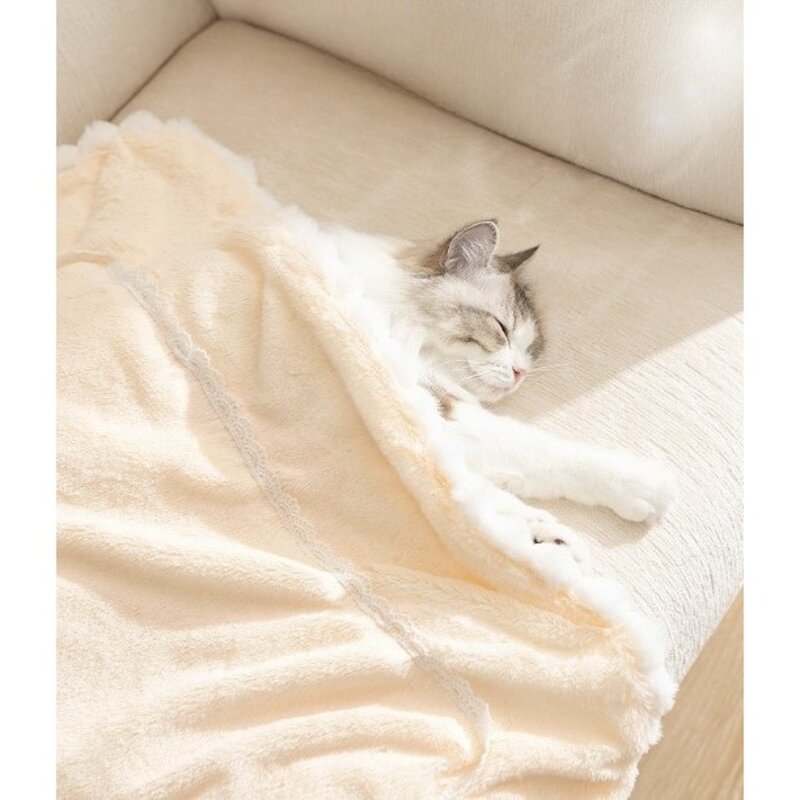 수오기 극세사 반려동물담요 애착이불 포근한 고양이강아지블랭킷 L size, 브라운