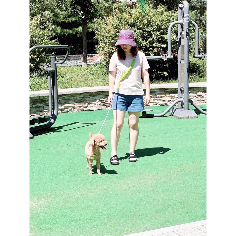 강아지 리드줄 핸즈프리 산책, 블루초록