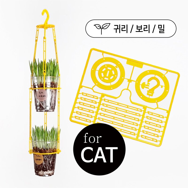 [리컵키트] 고양이 풀 캣그라스 키우기 세트 (옐로우), 보리2봉, 1세트