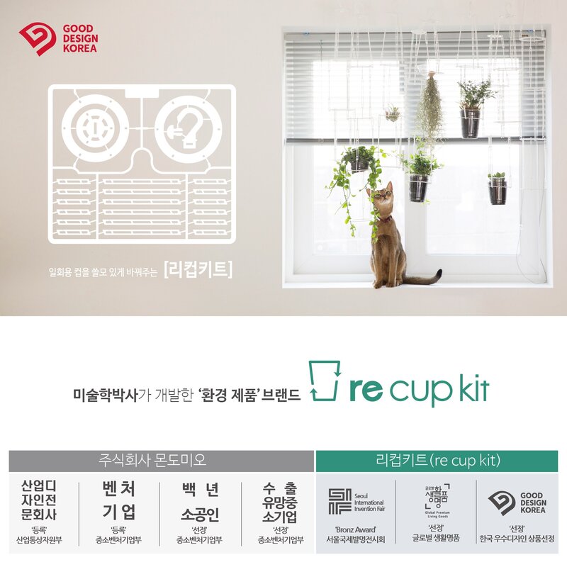 [리컵키트] 고양이 풀 캣그라스 키우기 세트 (옐로우), 보리2봉, 1세트