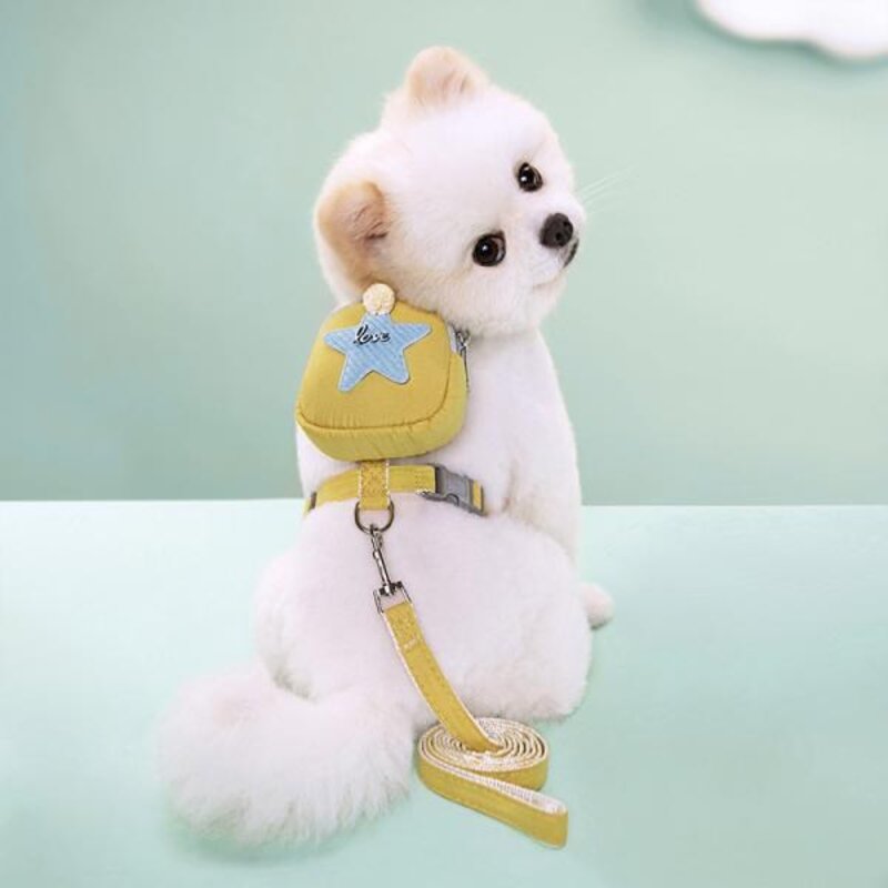 강아지 고양이 반려동물 캐리어 운반 백팩 숄더백 케이지 애완 동물 하네스 가방 포함 귀여운 배낭 가죽 끈 세트 5 점 별 장식 일일 걷기 하이킹 훈련, 없음, 3) YJ70504, 없음