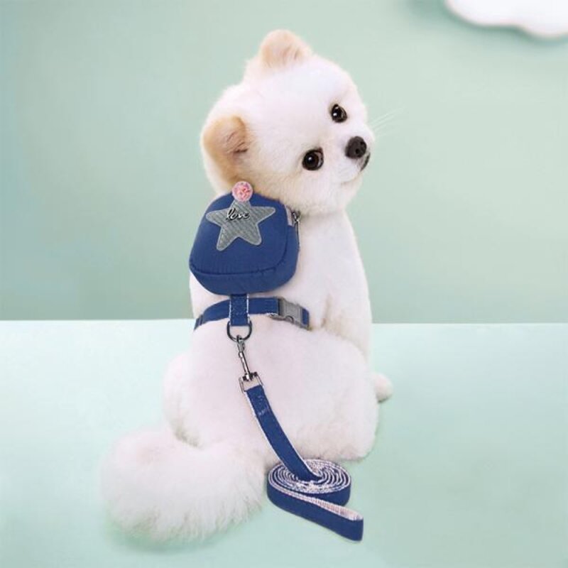 강아지 고양이 반려동물 캐리어 운반 백팩 숄더백 케이지 애완 동물 하네스 가방 포함 귀여운 배낭 가죽 끈 세트 5 점 별 장식 일일 걷기 하이킹 훈련, 없음, 3) YJ70504, 없음