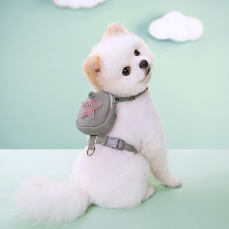 강아지 고양이 반려동물 캐리어 운반 백팩 숄더백 케이지 애완 동물 하네스 가방 포함 귀여운 배낭 가죽 끈 세트 5 점 별 장식 일일 걷기 하이킹 훈련, 없음, 3) YJ70504, 없음
