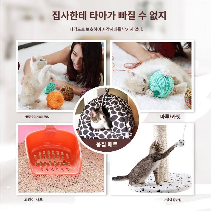 레옹 브라더스 고양이 소독제 애완동물 스프레이 소독수 실내 대용량 1L, 내추럴  타입