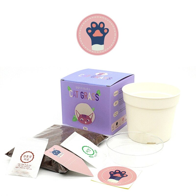 팜팜농장 캣그라스 고양이 캣닢 캣글라스, 2개입(캣닢글라스+키트), 1개