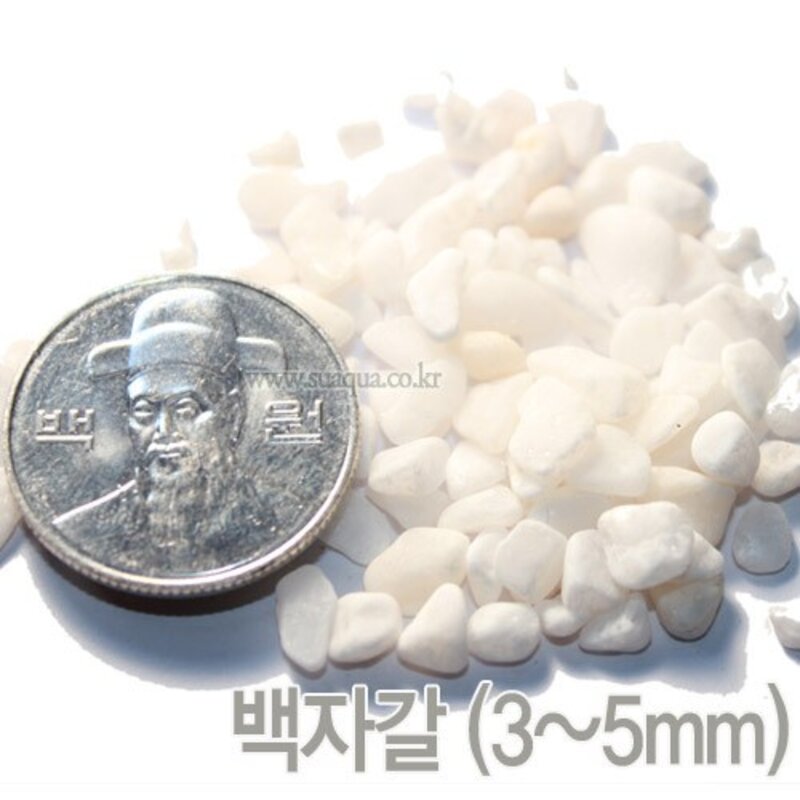 백사 약 3kg (3~5mm) 어항 바닥재 구피바닥재, 단품, 단품