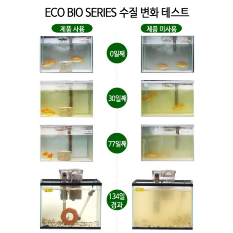 1년간 어항 수조 물갈이 환수 필요없는 수질개선제 수질정화제 수질청정제 백탁 물비린내 구피 어항용품 링, 그린, 1개
