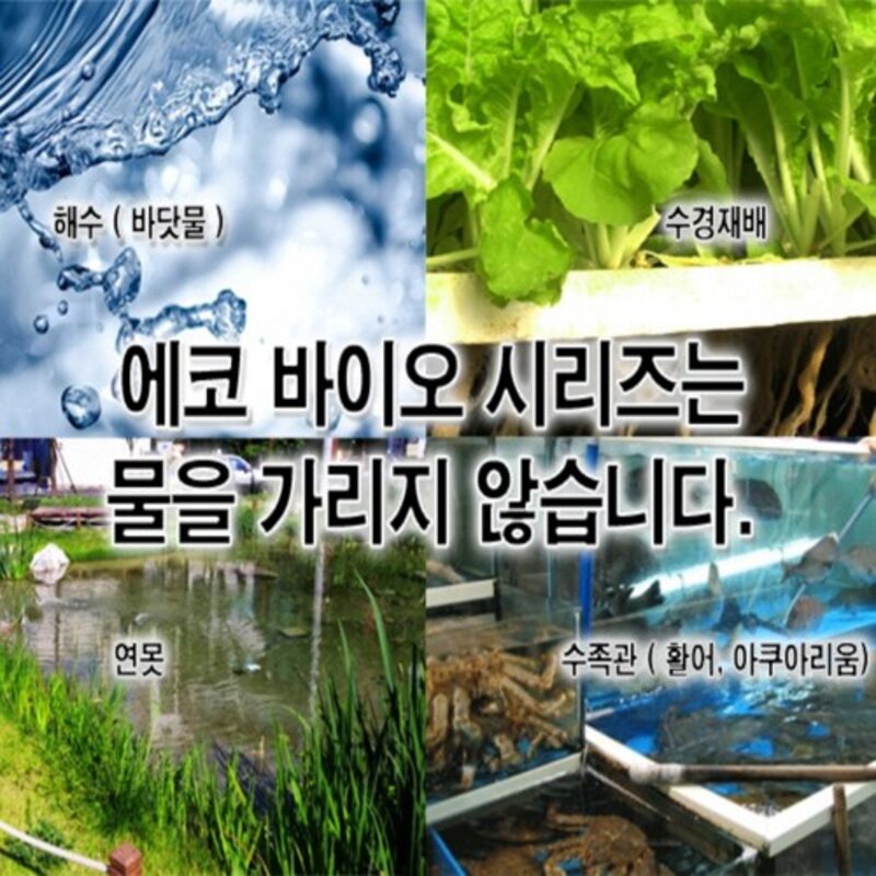 1년간 어항 수조 물갈이 환수 필요없는 수질개선제 수질정화제 수질청정제 백탁 물비린내 구피 어항용품 링, 그린, 1개