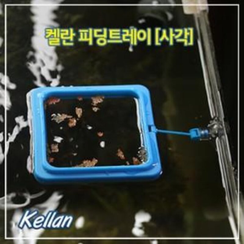 켈란 피딩트레이 원형 사각형 거름망 급여통 물고기 구피 새우 사료 먹이통 급여기, 켈란 피딩트레이 사각형, 1개