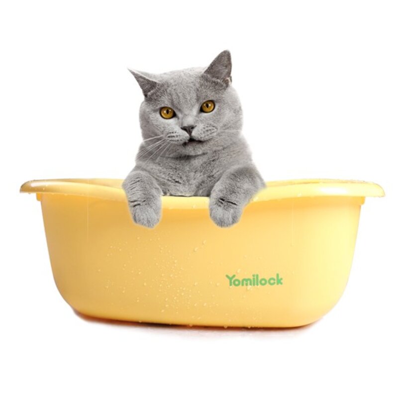 요미락 펫 욕조 / 오렌지 강아지욕조 고양이 반려동물 바스 목욕, 1개