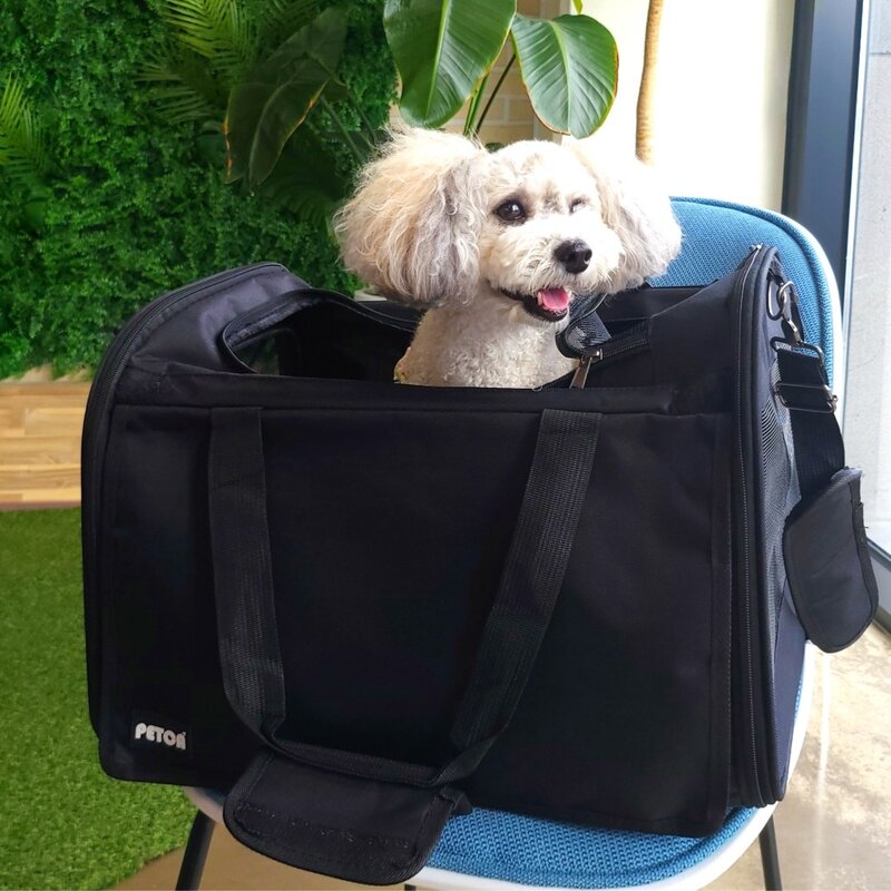 펫카 반려동물 커튼 이동가방 크로스백 이동장, 블랙