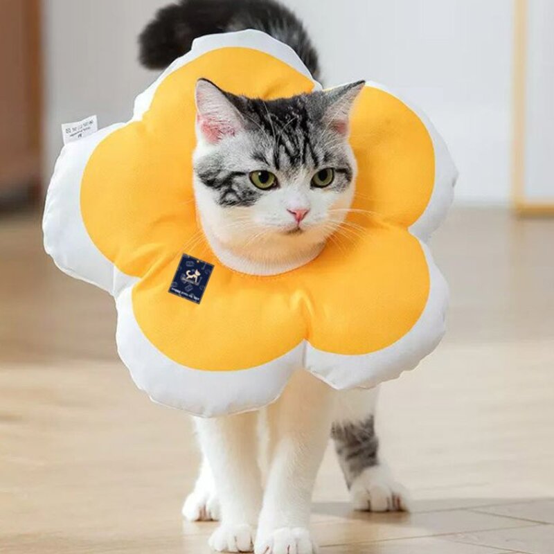 딩동펫 반려동물 데이지 꽃잎 넥카라, 블루, 1개