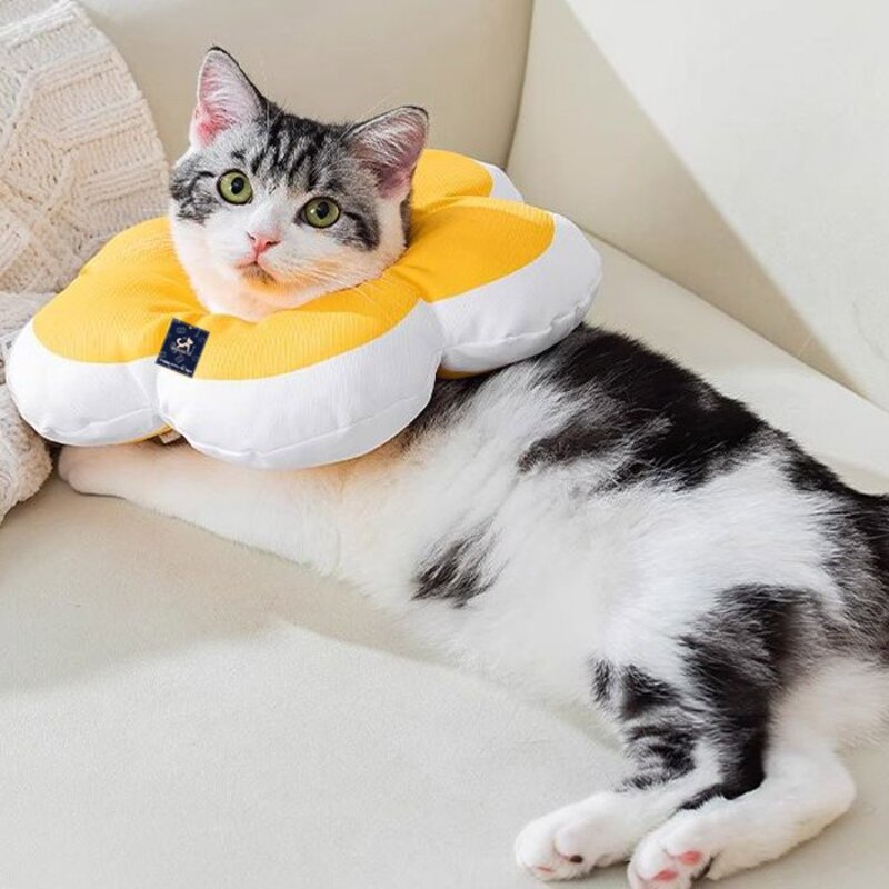 딩동펫 반려동물 데이지 꽃잎 넥카라, 블루, 1개